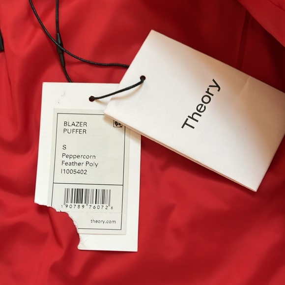 Theory - Picture 9 of 17